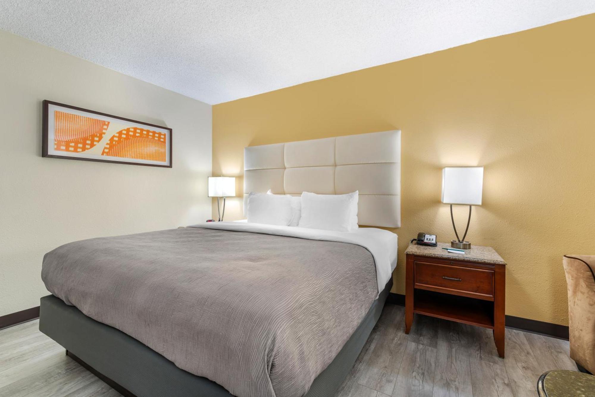 King Room - Non-Smoking/Pet Friendly,1558179457:JPEG
